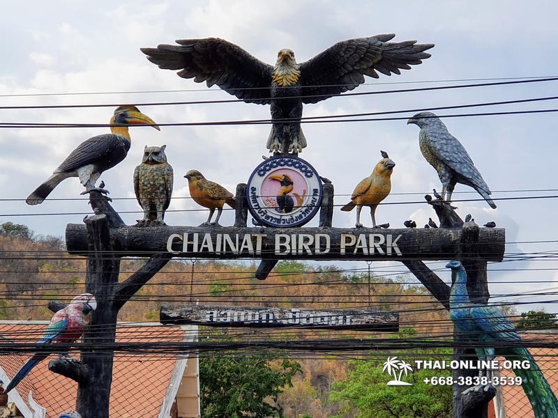 Path to the Avatar tour to Ayutthaya Lopburi from Pattaya - photo 103