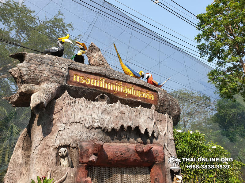 Path to the Avatar tour to Ayutthaya Lop Buri from Pattaya - photo 49