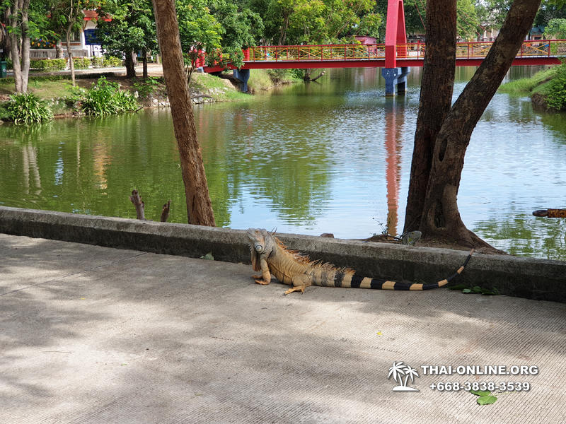 Path to the Avatar tour to Ayutthaya Lop Buri from Pattaya - photo 87