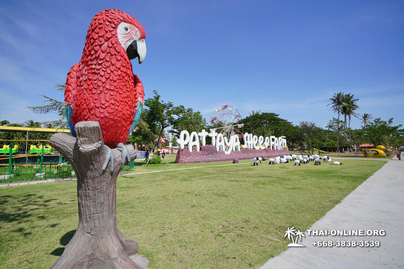 Animal Planet guided tour Pattaya - photo 3