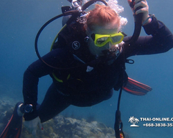 Intro-dive and Scuba Diving PADI courses in Pattaya Thailand photo 229