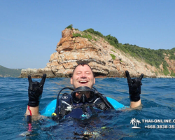 Intro-dive and Scuba Diving PADI courses in Pattaya Thailand photo 50