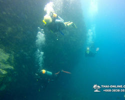 Intro-dive and Scuba Diving PADI courses in Pattaya Thailand photo 241