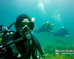 Intro-dive and Scuba Diving PADI courses in Pattaya Thailand photo 152