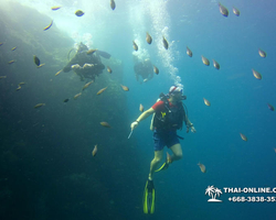 Intro-dive and Scuba Diving PADI courses in Pattaya Thailand photo 253