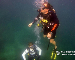 Intro-dive and Scuba Diving PADI courses in Pattaya Thailand photo 232