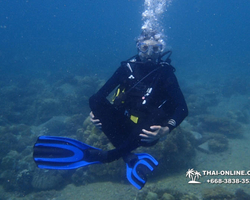 Intro-dive and Scuba Diving PADI courses in Pattaya Thailand photo 227