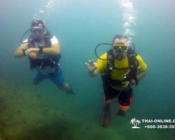 Intro-dive and Scuba Diving PADI courses in Pattaya Thailand photo 239