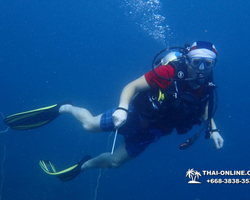 Intro-dive and Scuba Diving PADI courses in Pattaya Thailand photo 256
