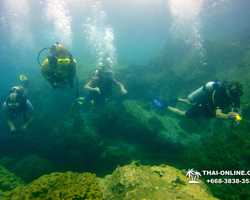Intro-dive and Scuba Diving PADI courses in Pattaya Thailand photo 178