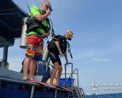 Intro-dive and Scuba Diving PADI courses in Pattaya Thailand photo 171