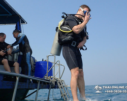 Intro-dive and Scuba Diving PADI courses in Pattaya Thailand photo 182