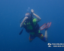 Intro-dive and Scuba Diving PADI courses in Pattaya Thailand photo 259