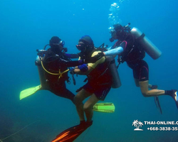Intro-dive and Scuba Diving PADI courses in Pattaya Thailand photo 249