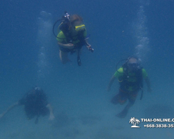 Intro-dive and Scuba Diving PADI courses in Pattaya Thailand photo 261