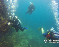 Intro-dive and Scuba Diving PADI courses in Pattaya Thailand photo 160