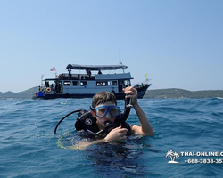 Intro-dive and Scuba Diving PADI courses in Pattaya Thailand photo 177