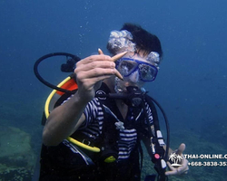 Intro-dive and Scuba Diving PADI courses in Pattaya Thailand photo 234