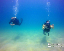 Intro-dive and Scuba Diving PADI courses in Pattaya Thailand photo 255
