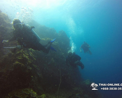 Intro-dive and Scuba Diving PADI courses in Pattaya Thailand photo 252