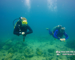 Intro-dive and Scuba Diving PADI courses in Pattaya Thailand photo 226