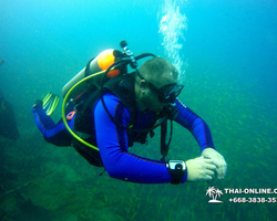 Intro-dive and Scuba Diving PADI courses in Pattaya Thailand photo 197