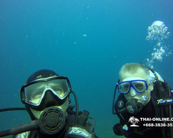 Intro-dive and Scuba Diving PADI courses in Pattaya Thailand photo 221