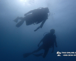 Intro-dive and Scuba Diving PADI courses in Pattaya Thailand photo 263