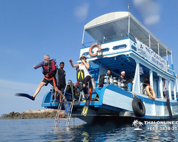 Intro-dive and Scuba Diving PADI courses in Pattaya Thailand photo 66