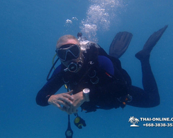 Intro-dive and Scuba Diving PADI courses in Pattaya Thailand photo 250