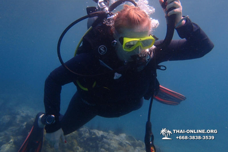 Diving for experienced divers in Pattaya Thailand photo 33
