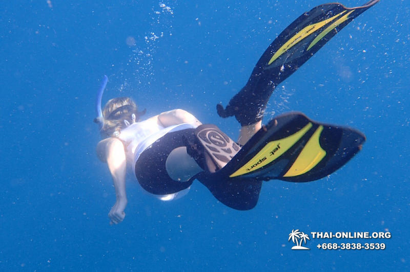 Scuba Diving in Pattaya Thailand photo 50