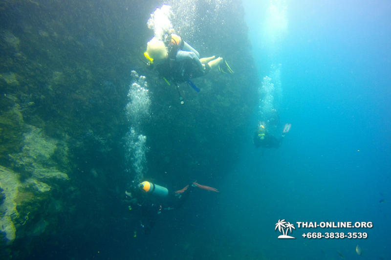 Diving for experienced divers in Pattaya Thailand photo 44