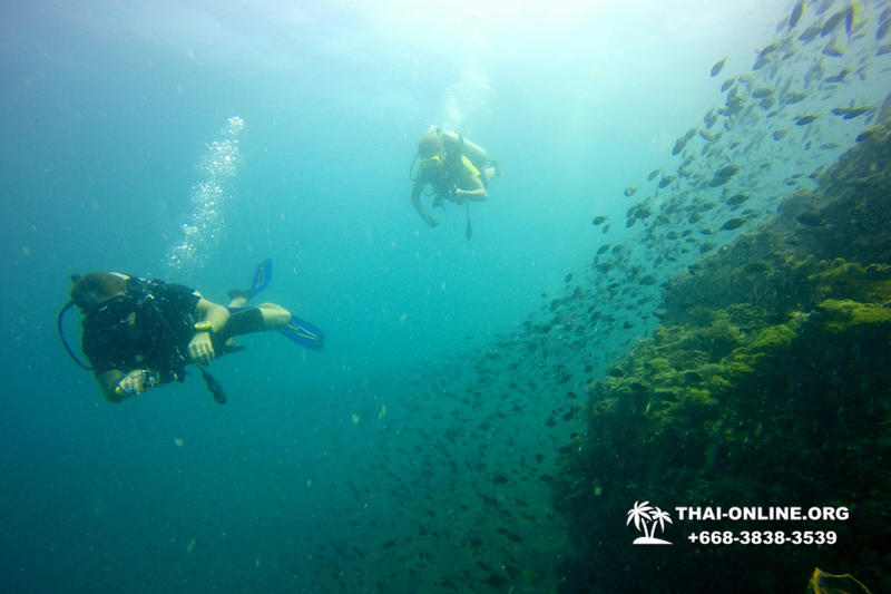Diving for experienced divers in Pattaya Thailand photo 28