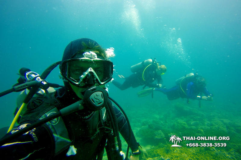 Scuba Diving in Pattaya Thailand photo 30