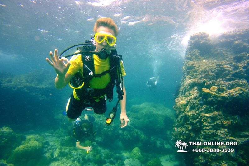 Intro-dive and Scuba Diving PADI courses in Pattaya Thailand photo 67