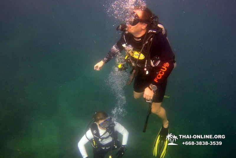 Intro-dive and Scuba Diving PADI courses in Pattaya Thailand photo 232
