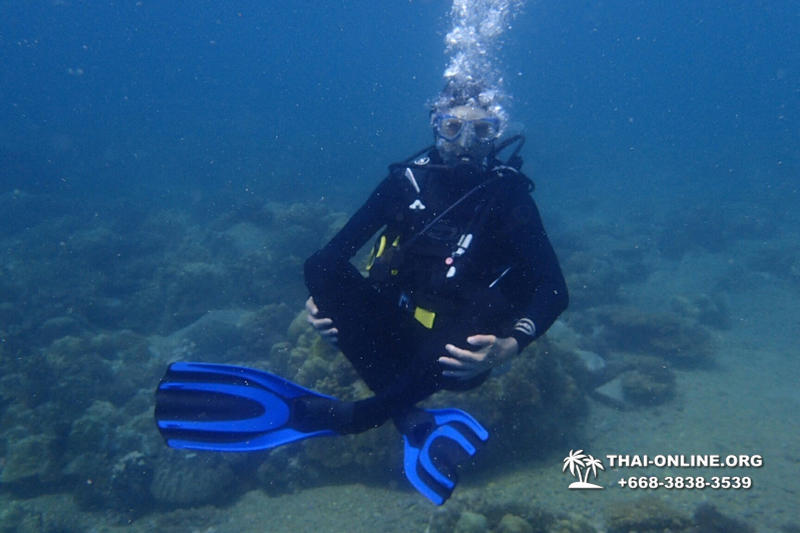 Diving for experienced divers in Pattaya Thailand photo 31