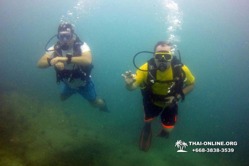 Diving for experienced divers in Pattaya Thailand photo 42