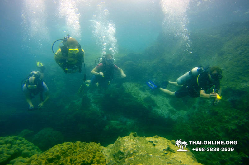 Intro-dive and Scuba Diving PADI courses in Pattaya Thailand photo 178