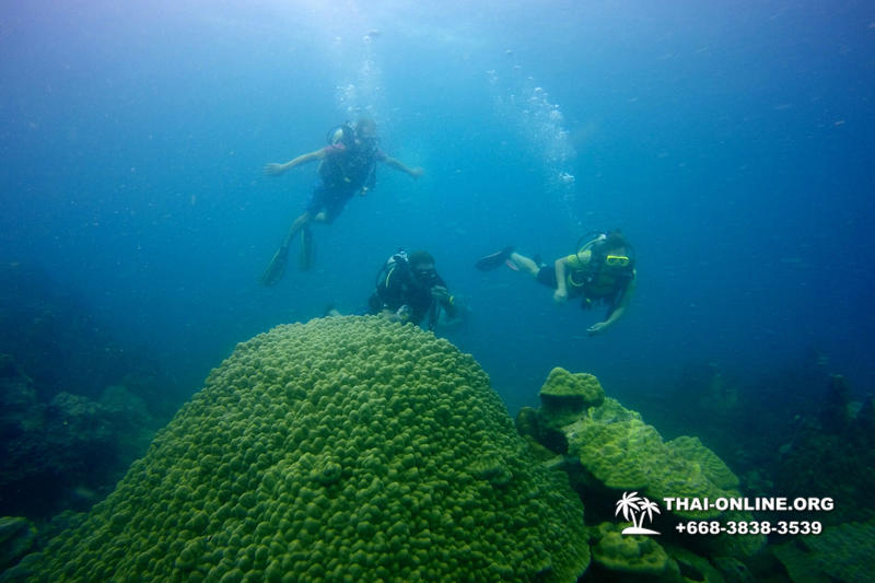 Diving for experienced divers in Pattaya Thailand photo 7