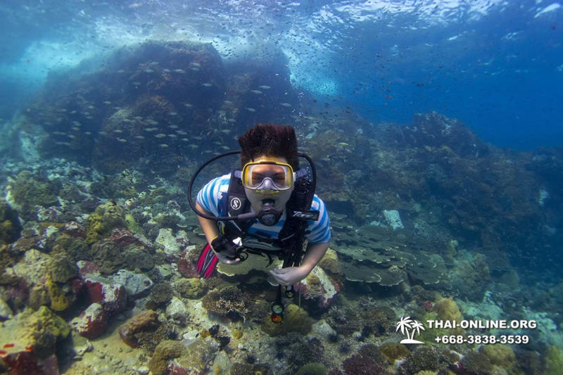 Intro-dive and Scuba Diving PADI courses in Pattaya Thailand photo 70