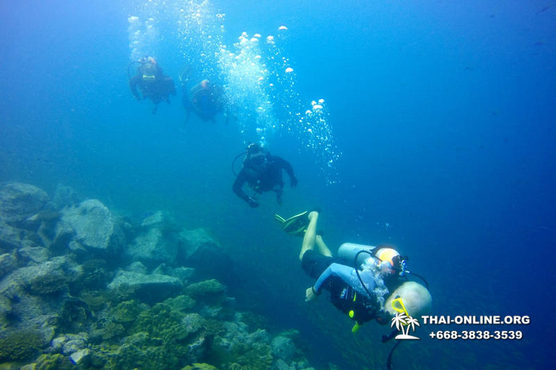 Diving for experienced divers in Pattaya Thailand photo 17