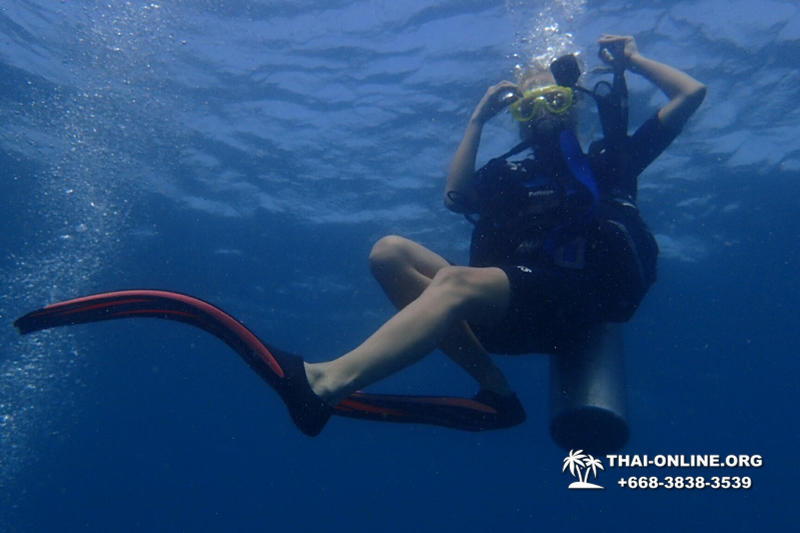 Diving for experienced divers in Pattaya Thailand photo 46