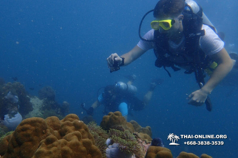 Diving for experienced divers in Pattaya Thailand photo 24