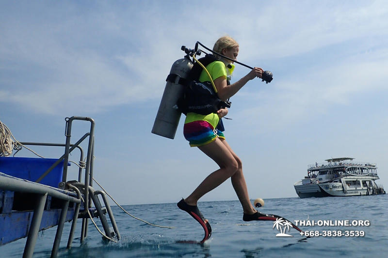 Diving for experienced divers in Pattaya Thailand photo 14