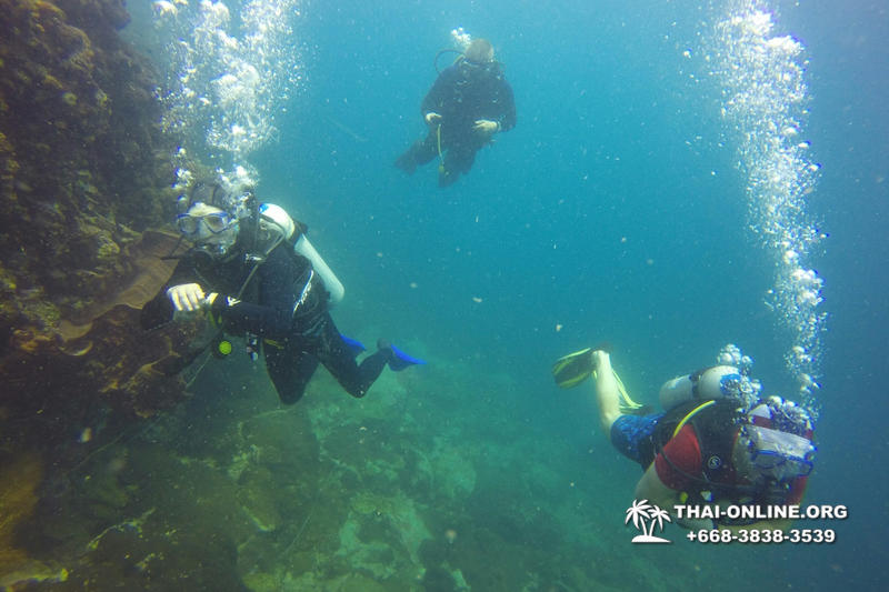 Scuba Diving in Pattaya Thailand photo 37