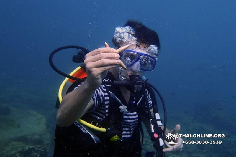 Diving for experienced divers in Pattaya Thailand photo 37