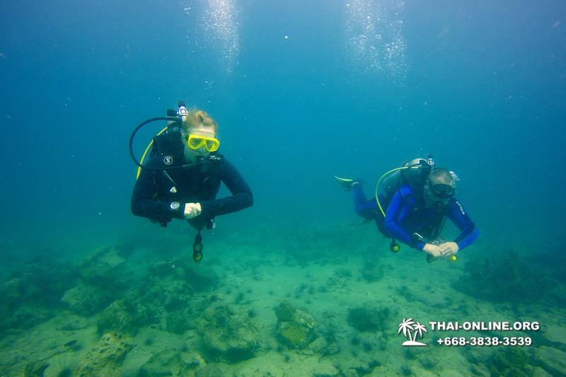Diving for experienced divers in Pattaya Thailand photo 30
