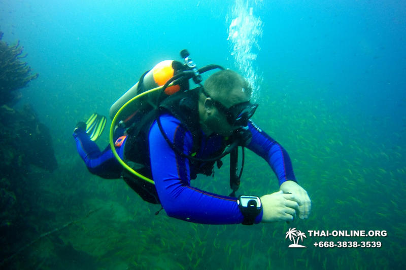 Diving for experienced divers in Pattaya Thailand photo 6